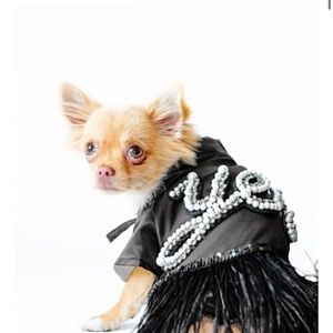 Elegant Black Feathered Women's Belt